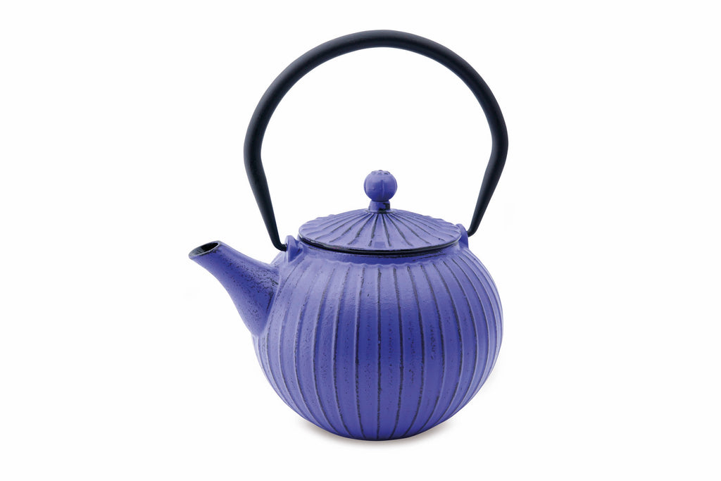 Iron Teapot Panpukin 800 ml with Filter – MasterTea Factory, LLC