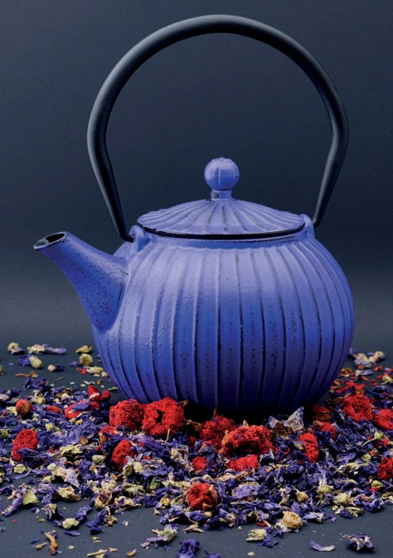 Iron Teapot Panpukin 800 ml with Filter