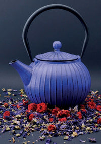 Iron Teapot Panpukin 800 ml with Filter