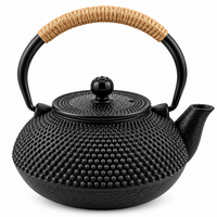 Japanese-Style Black Cast Iron Tetsubin Kettle – 600 ml | Uncoated Iron with Stainless Steel Infuser