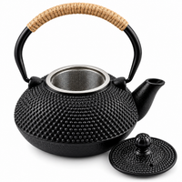 Japanese-Style Black Cast Iron Tetsubin Kettle – 600 ml | Uncoated Iron with Stainless Steel Infuser