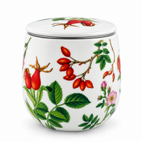 Könitz Cosy Mug Rose Hip with Infuser & Lid – 420 ml (14.2 fl oz)