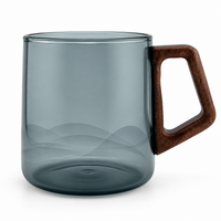 Modern Glass Tea Infuser Cup with Ceramic Filter & Wooden Handle – 400 ml