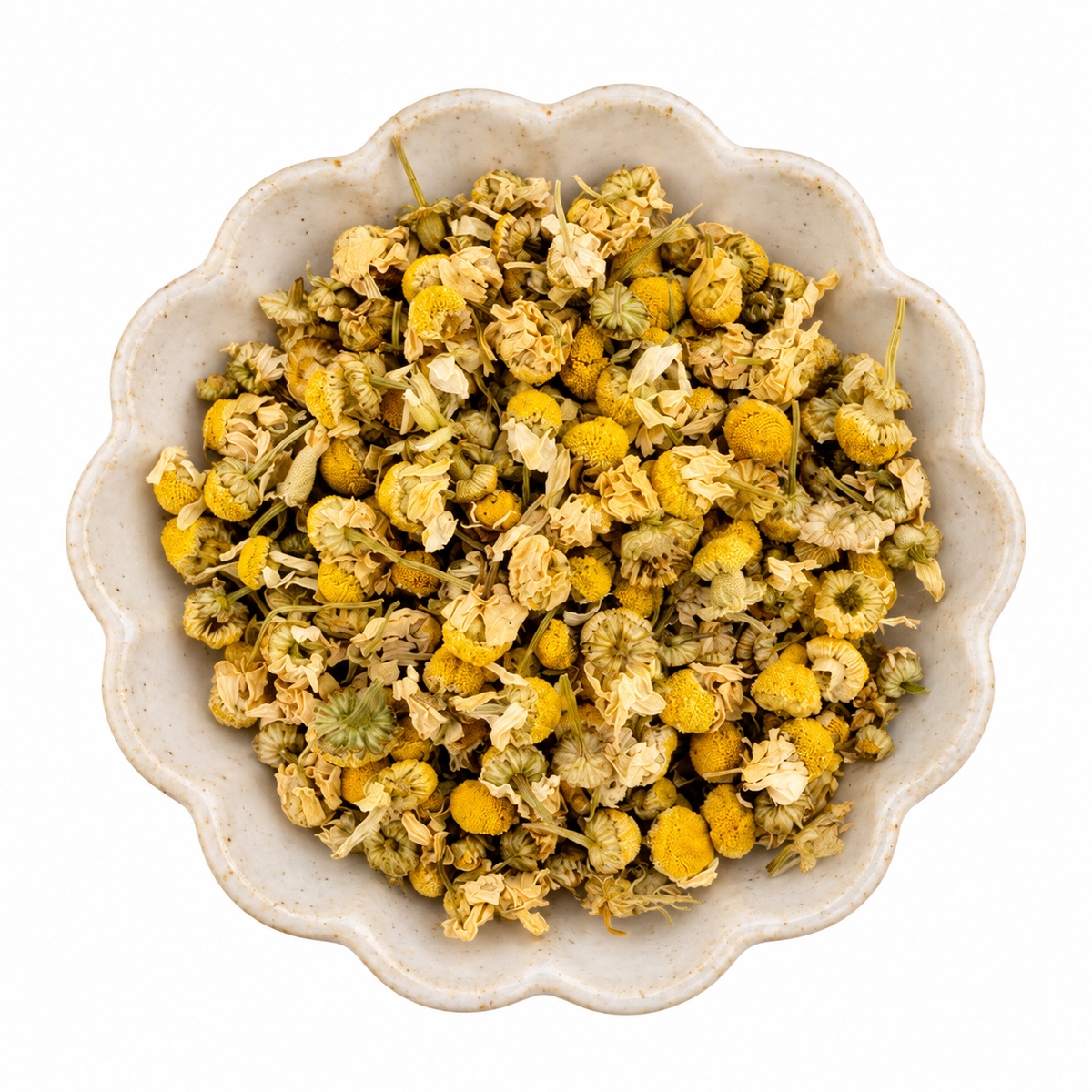 Chamomile Blossoms