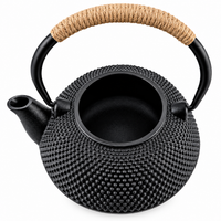 Japanese-Style Black Cast Iron Tetsubin Kettle – 600 ml | Uncoated Iron with Stainless Steel Infuser