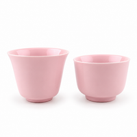 Sakura Pink Porcelain Travel Tea Set – Portable One-Pot Tea Set with 2 Cups & Carrying Case