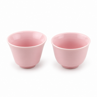 Sakura Pink Porcelain Travel Tea Set – Portable One-Pot Tea Set with 2 Cups & Carrying Case
