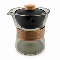 Rotating Glass & Porcelain Travel Tea Maker Set – 210 ml