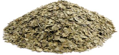ORGANIC Mate Tea Green